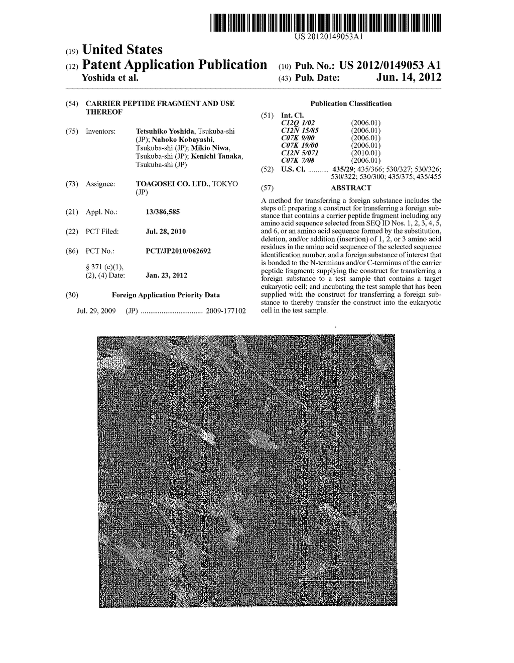 CARRIER PEPTIDE FRAGMENT AND USE THEREOF - diagram, schematic, and image 01