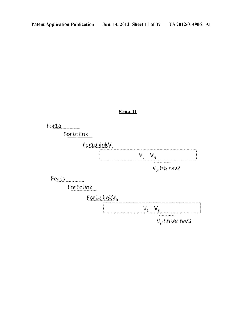 Modified Antibody Compositions, Methods of Making and Using Thereof - diagram, schematic, and image 12