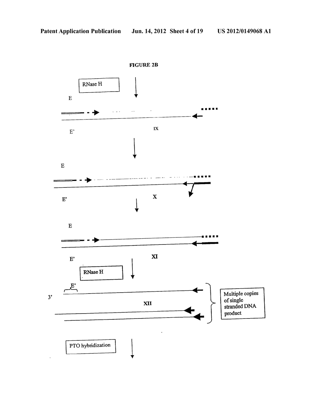 METHODS AND COMPOSITIONS FOR AMPLIFICATION OF RNA SEQUENCES - diagram, schematic, and image 05