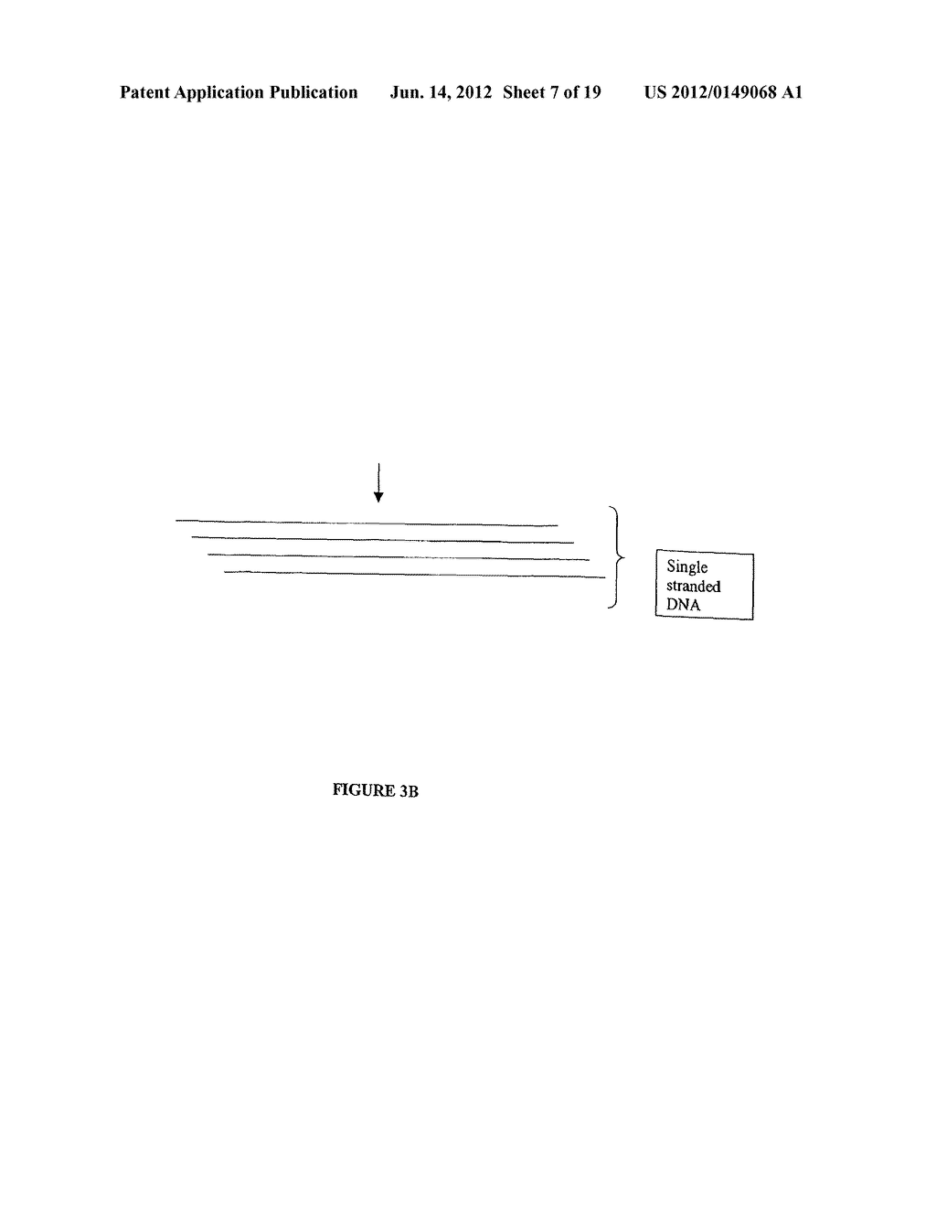 METHODS AND COMPOSITIONS FOR AMPLIFICATION OF RNA SEQUENCES - diagram, schematic, and image 08