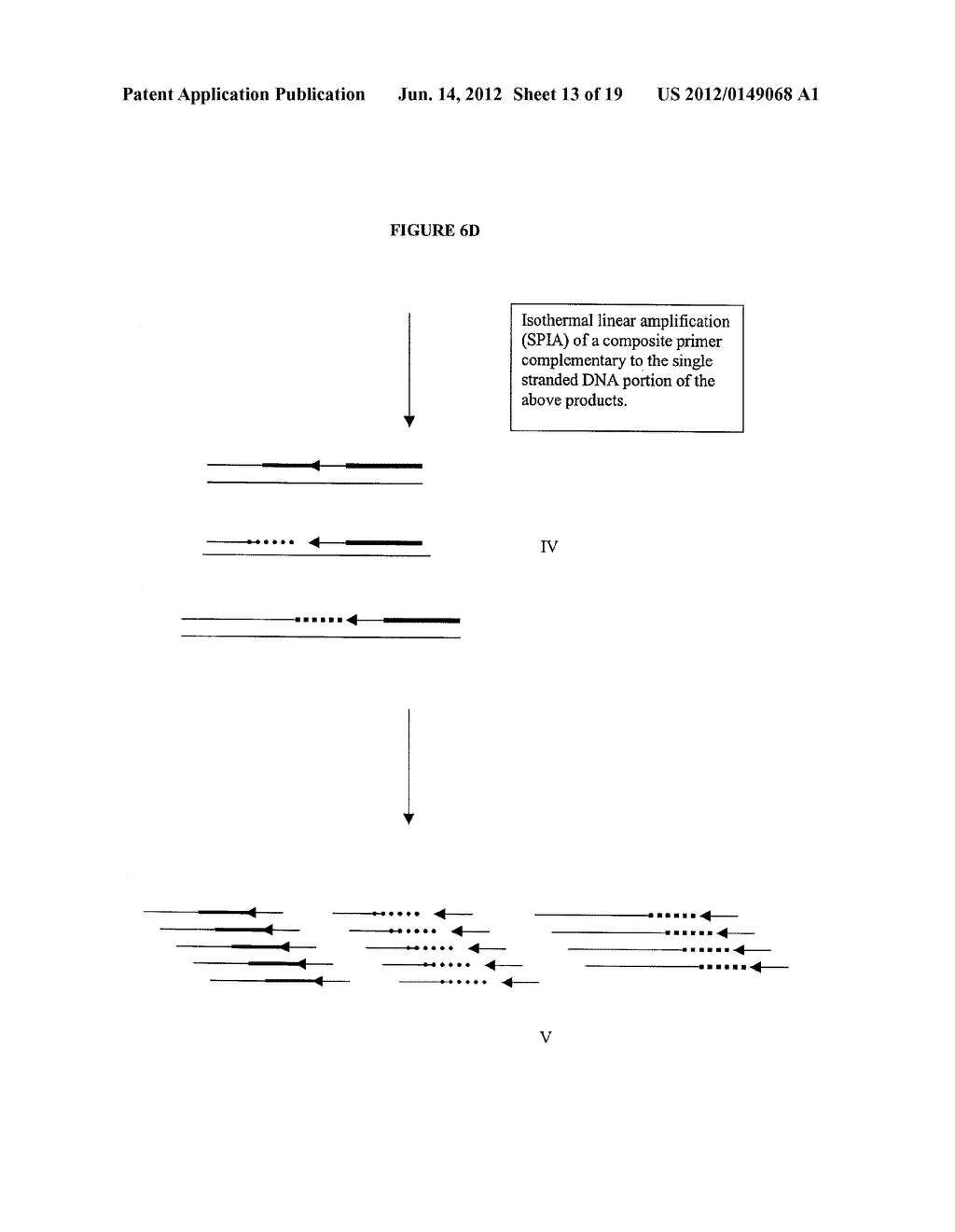 METHODS AND COMPOSITIONS FOR AMPLIFICATION OF RNA SEQUENCES - diagram, schematic, and image 14