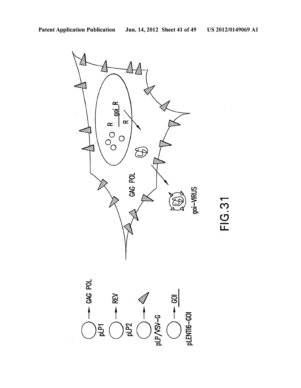 METHODS AND COMPOSITIONS FOR SEAMLESS CLONING OF NUCLEIC ACID MOLECULES - diagram, schematic, and image 42