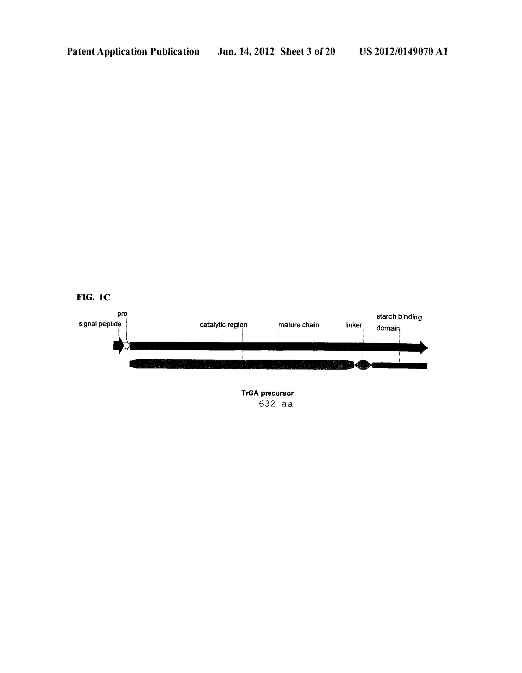 VARIANTS OF GLUCOAMYLASE - diagram, schematic, and image 04