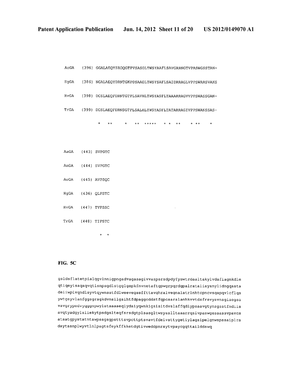 VARIANTS OF GLUCOAMYLASE - diagram, schematic, and image 12