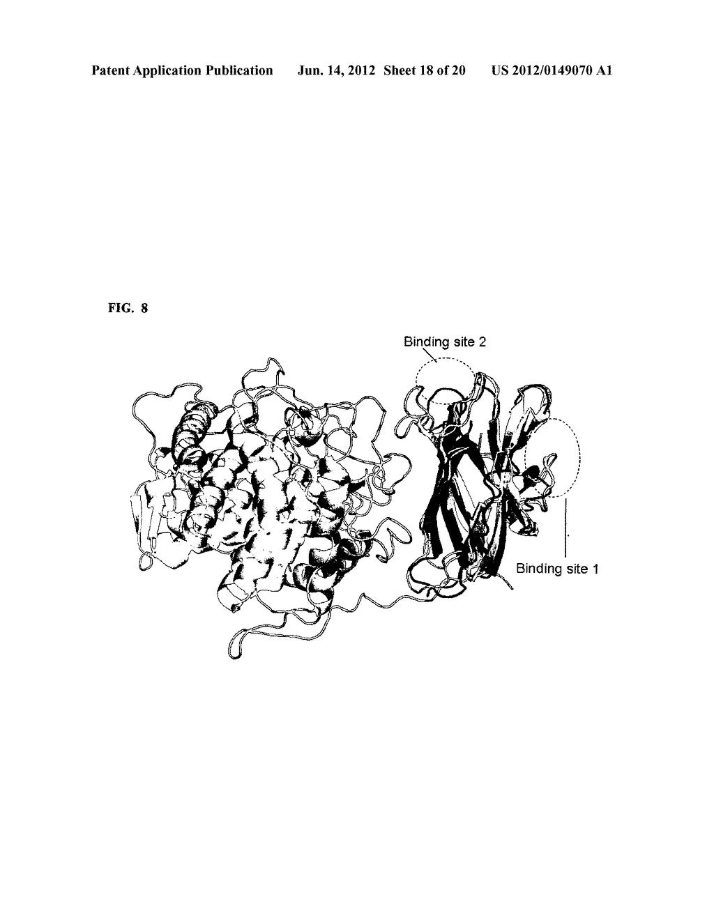 VARIANTS OF GLUCOAMYLASE - diagram, schematic, and image 19