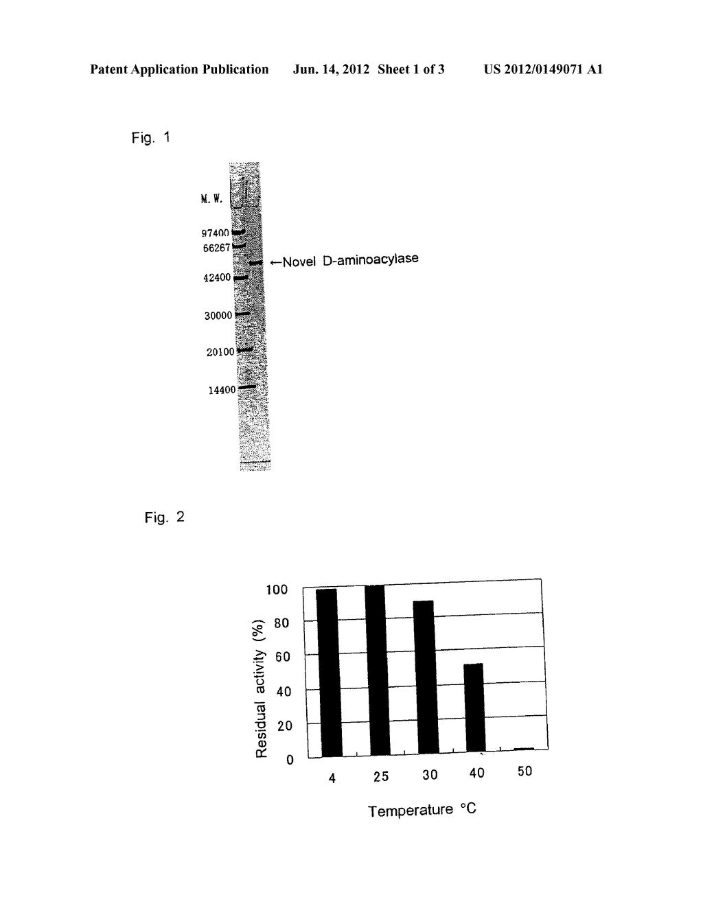 D-AMINOACYLASE - diagram, schematic, and image 02