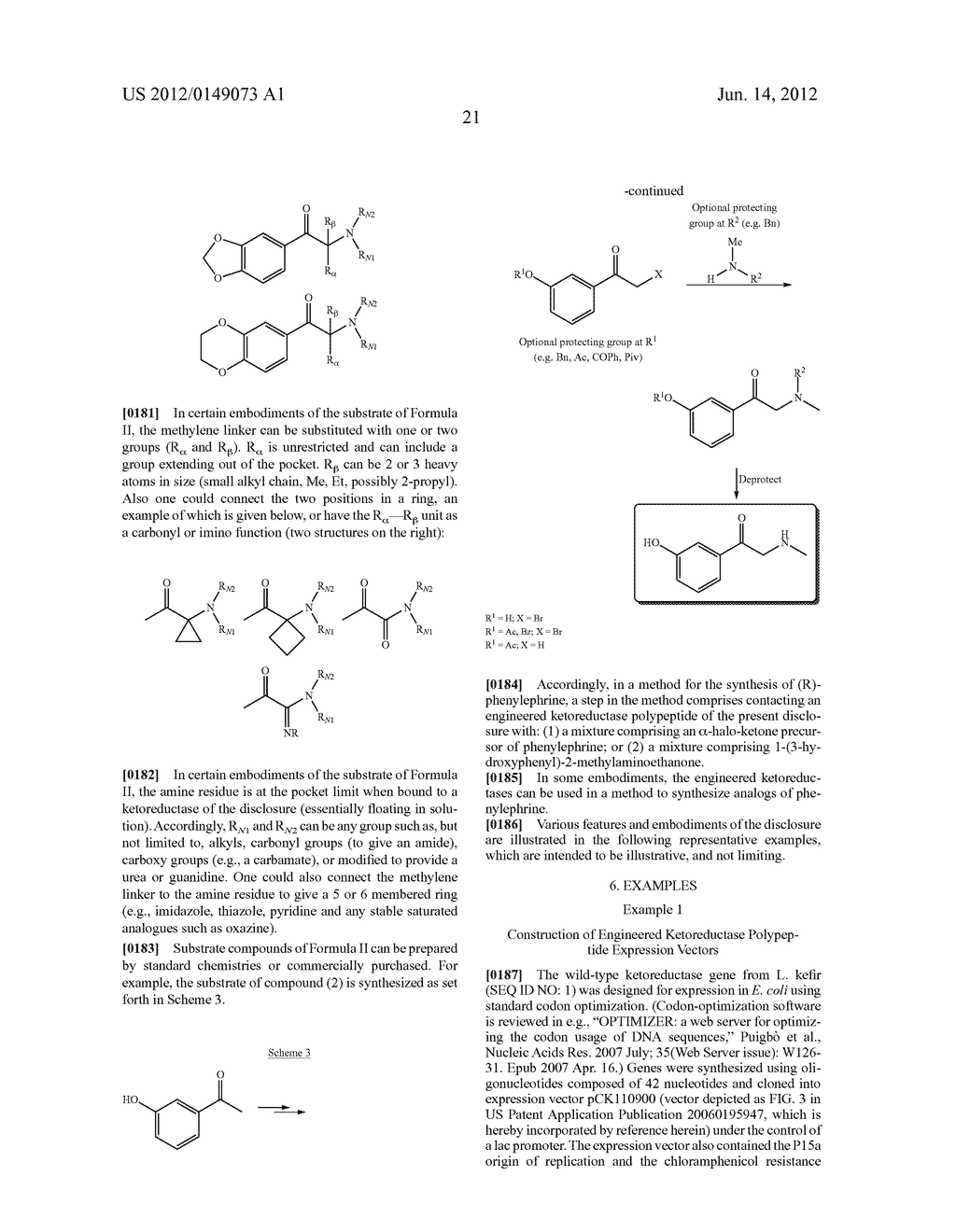 Ketoreductase Polypeptides for the Preparation of Phenylephrine - diagram, schematic, and image 22