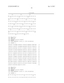 Ketoreductase Polypeptides for the Preparation of Phenylephrine diagram and image