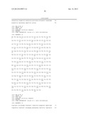 Ketoreductase Polypeptides for the Preparation of Phenylephrine diagram and image