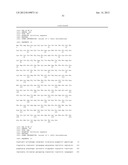 Ketoreductase Polypeptides for the Preparation of Phenylephrine diagram and image