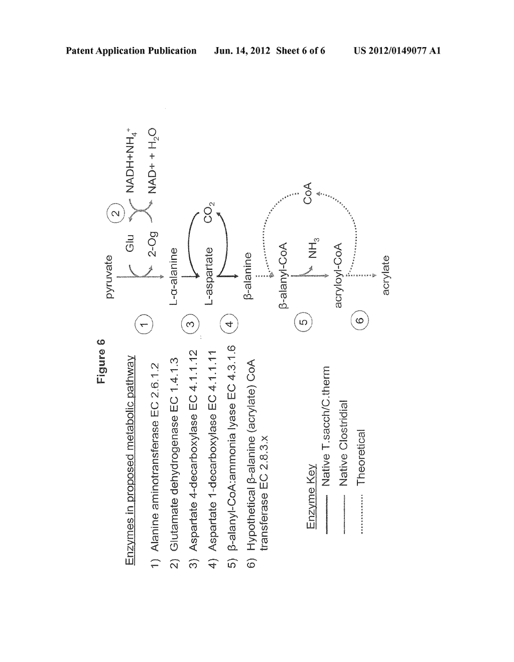 Mesophilic and Thermophilic Organisms Modified to Produce Acrylate, and     Methods of Use Thereof - diagram, schematic, and image 07