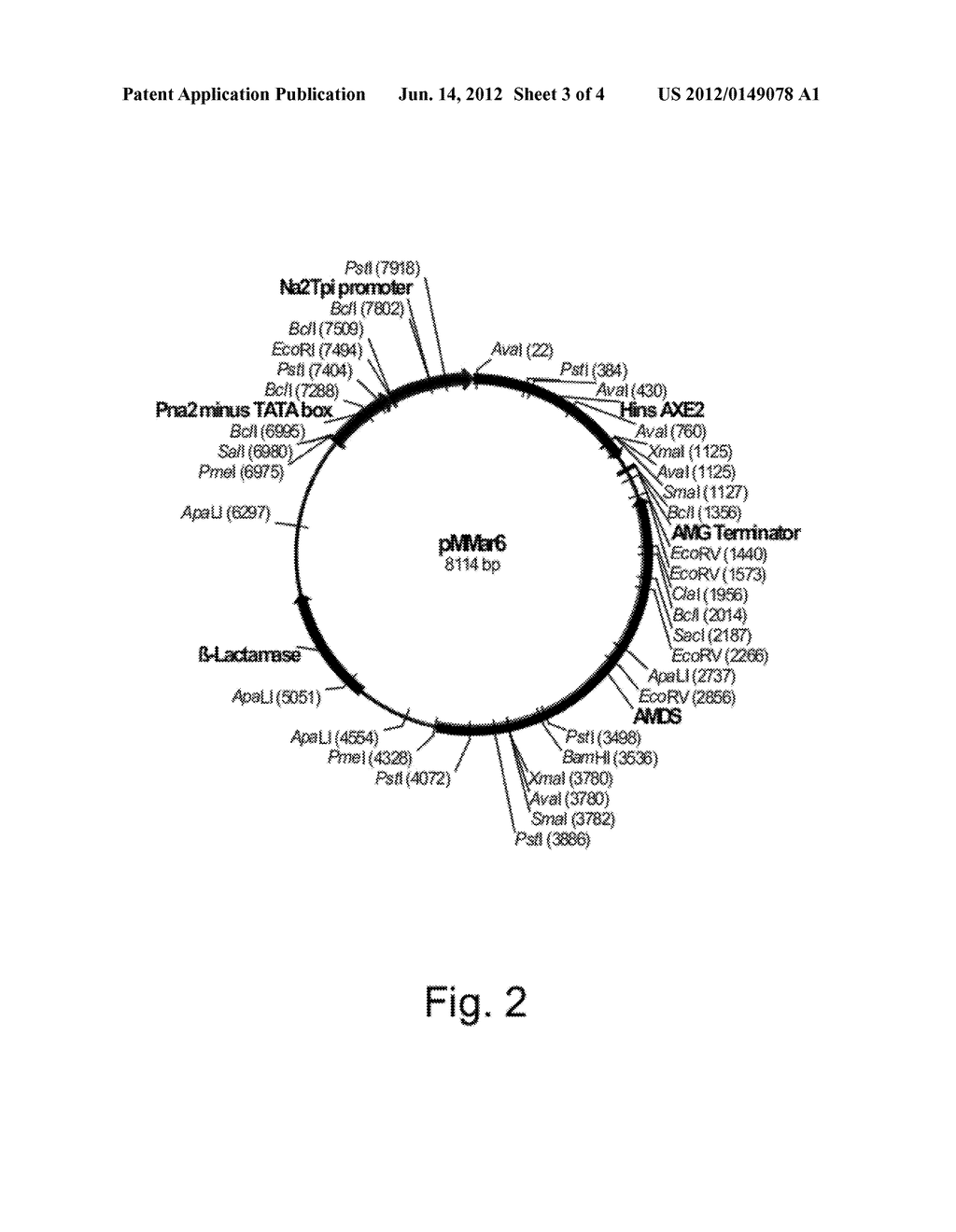 Polypeptides Having Acetylxylan Esterase Activity And Polynucleotides     Encoding Same - diagram, schematic, and image 04