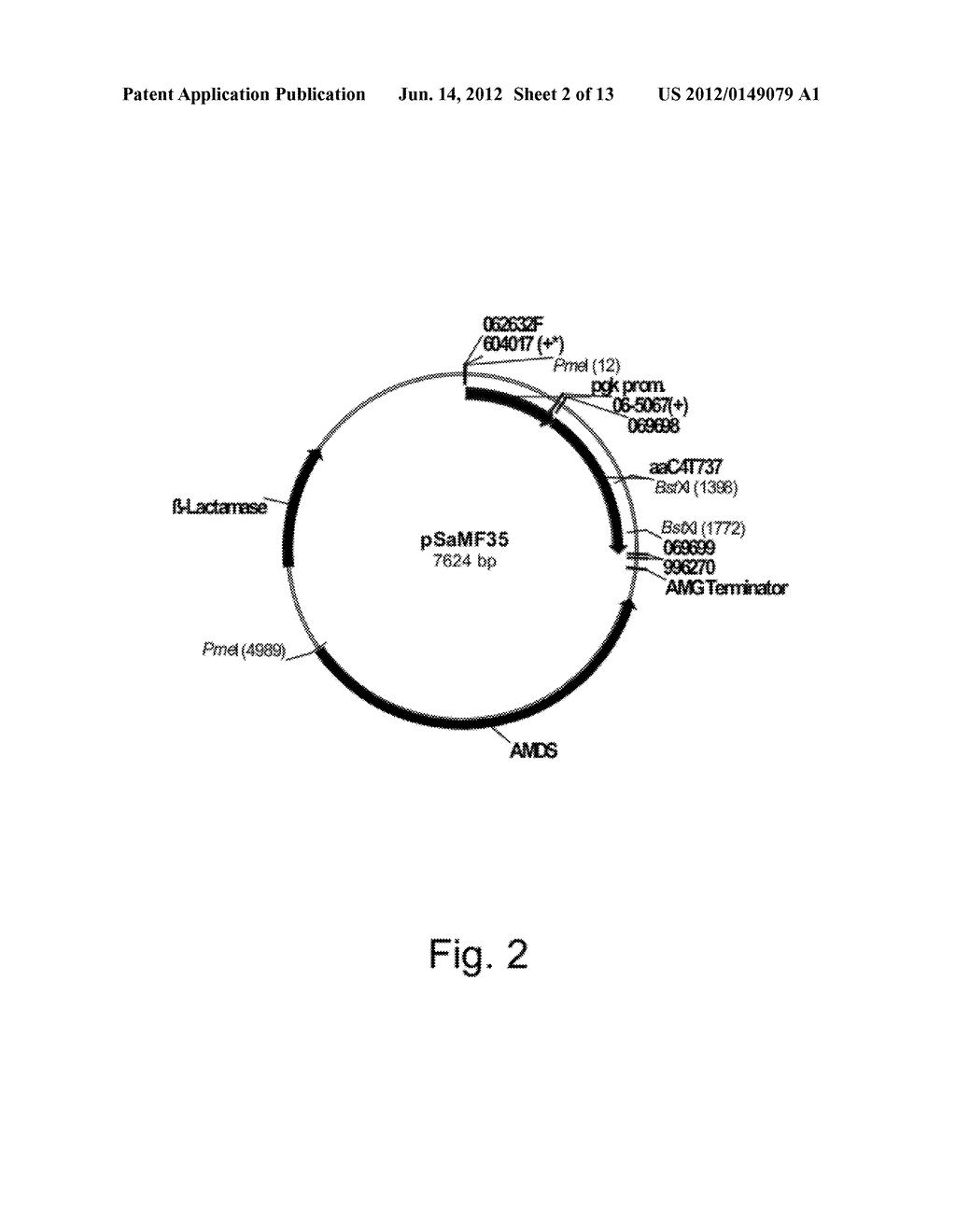 Polypeptides Having C4 Dicarboxylic Acid Transporter Activity and     Polynucleotides Encoding Same - diagram, schematic, and image 03