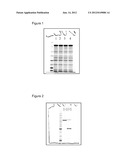 FUSION PROTEINS diagram and image