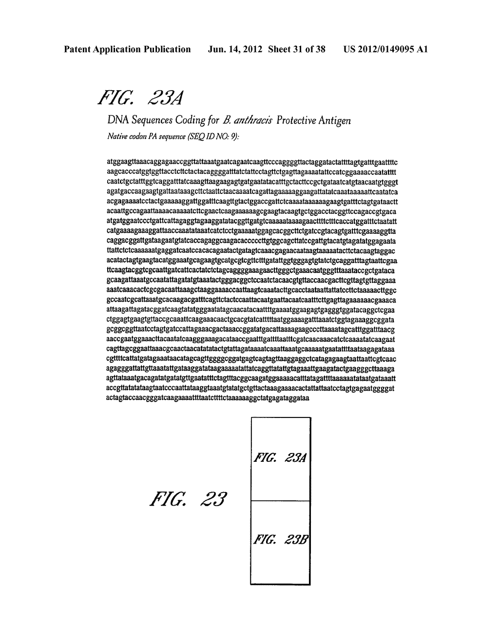 DNA PROMOTERS AND ANTHRAX VACCINES - diagram, schematic, and image 32