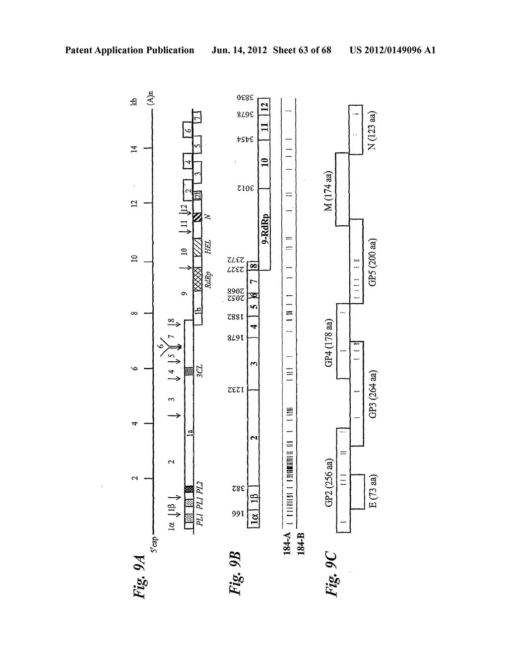 PRRS VIRUSES, INFECTIOUS CLONES, MUTANTS THEREOF, AND METHOD OF USE - diagram, schematic, and image 64