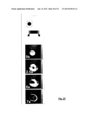 Fluidics Apparatus and Fluidics Substrate diagram and image