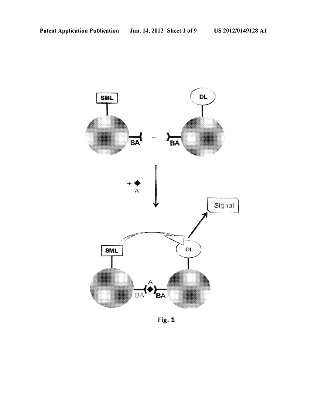 ASSAYS AND ASSAY DEVICES - diagram, schematic, and image 02