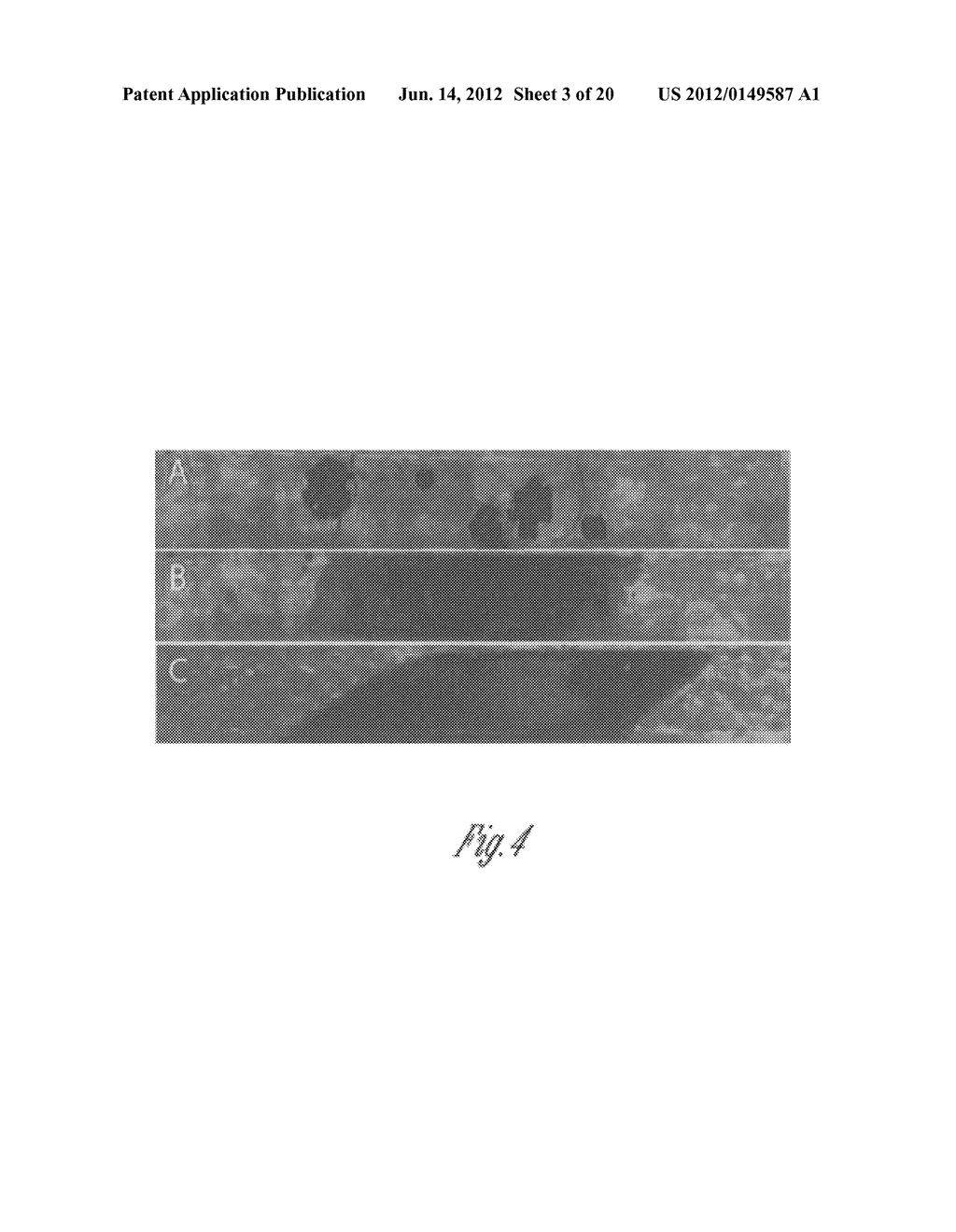 METHOD FOR DETECTING NUCLEATED CELLS - diagram, schematic, and image 04