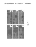 METHOD FOR DETECTING NUCLEATED CELLS diagram and image