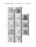 METHOD FOR DETECTING NUCLEATED CELLS diagram and image