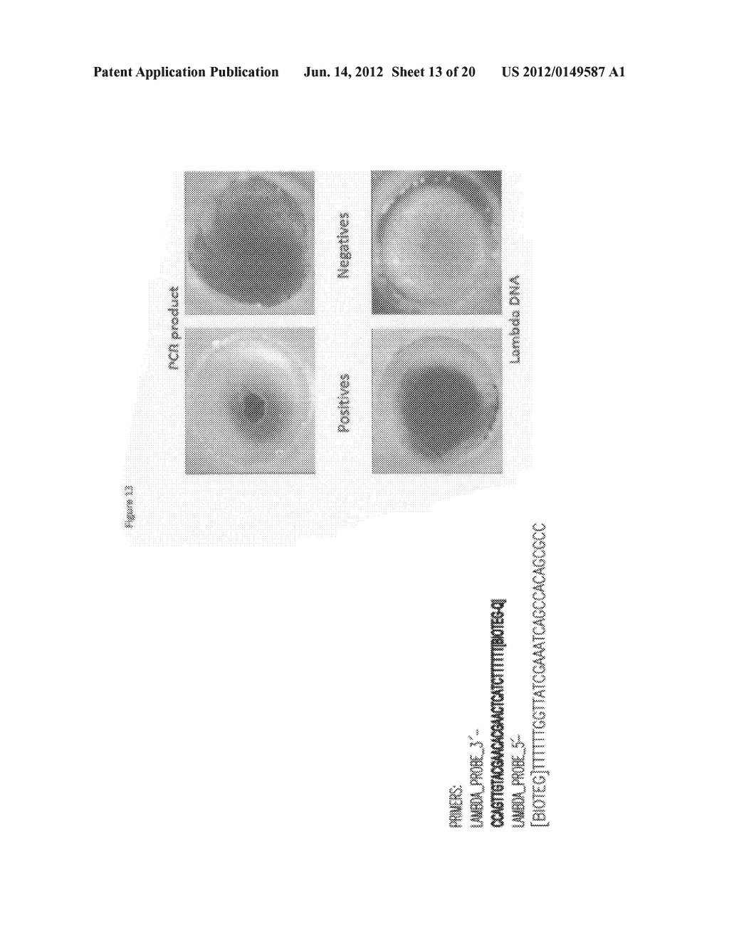 METHOD FOR DETECTING NUCLEATED CELLS - diagram, schematic, and image 14