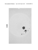 METHOD FOR DETECTING NUCLEATED CELLS diagram and image