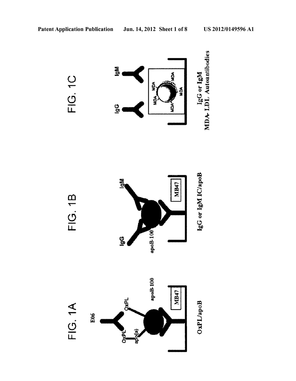 METHODS FOR ASSESSING ATHEROGENESIS BY DETERMINING OXIDIZED PHOSPHOLIPID     TO APOLIPOPROTEIN B RATIOS - diagram, schematic, and image 02