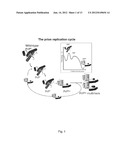 HUMIC SUBSTANCES AND USES THEREOF IN AGRO-ENVIRONMENT diagram and image