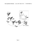 HUMIC SUBSTANCES AND USES THEREOF IN AGRO-ENVIRONMENT diagram and image