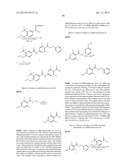 Therapeutic Aryl-Amido-Aryl Compounds and Their Use diagram and image