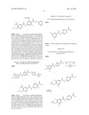 Therapeutic Aryl-Amido-Aryl Compounds and Their Use diagram and image