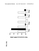 TRICYCLO-DNA ANTISENSE OLIGONUCLEOTIDES, COMPOSITIONS, AND METHODS FOR THE     TREATMENT OF DISEASE diagram and image