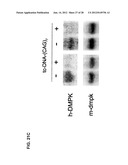 TRICYCLO-DNA ANTISENSE OLIGONUCLEOTIDES, COMPOSITIONS, AND METHODS FOR THE     TREATMENT OF DISEASE diagram and image