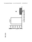 TRICYCLO-DNA ANTISENSE OLIGONUCLEOTIDES, COMPOSITIONS, AND METHODS FOR THE     TREATMENT OF DISEASE diagram and image