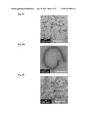 NANOFIBERS AND MORPHOLOGY SHIFTING MICELLES diagram and image