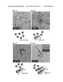 NANOFIBERS AND MORPHOLOGY SHIFTING MICELLES diagram and image