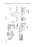 NANOFIBERS AND MORPHOLOGY SHIFTING MICELLES diagram and image