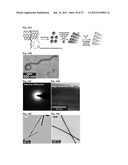 NANOFIBERS AND MORPHOLOGY SHIFTING MICELLES diagram and image