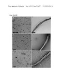 NANOFIBERS AND MORPHOLOGY SHIFTING MICELLES diagram and image