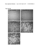 NANOFIBERS AND MORPHOLOGY SHIFTING MICELLES diagram and image