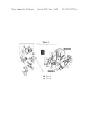 Stable Heterodimeric Antibody Design with Mutations in the Fc Domain diagram and image