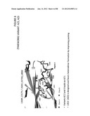 Stable Heterodimeric Antibody Design with Mutations in the Fc Domain diagram and image