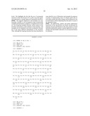 Stable Heterodimeric Antibody Design with Mutations in the Fc Domain diagram and image