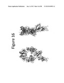 Stable Heterodimeric Antibody Design with Mutations in the Fc Domain diagram and image