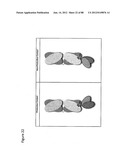 Stable Heterodimeric Antibody Design with Mutations in the Fc Domain diagram and image