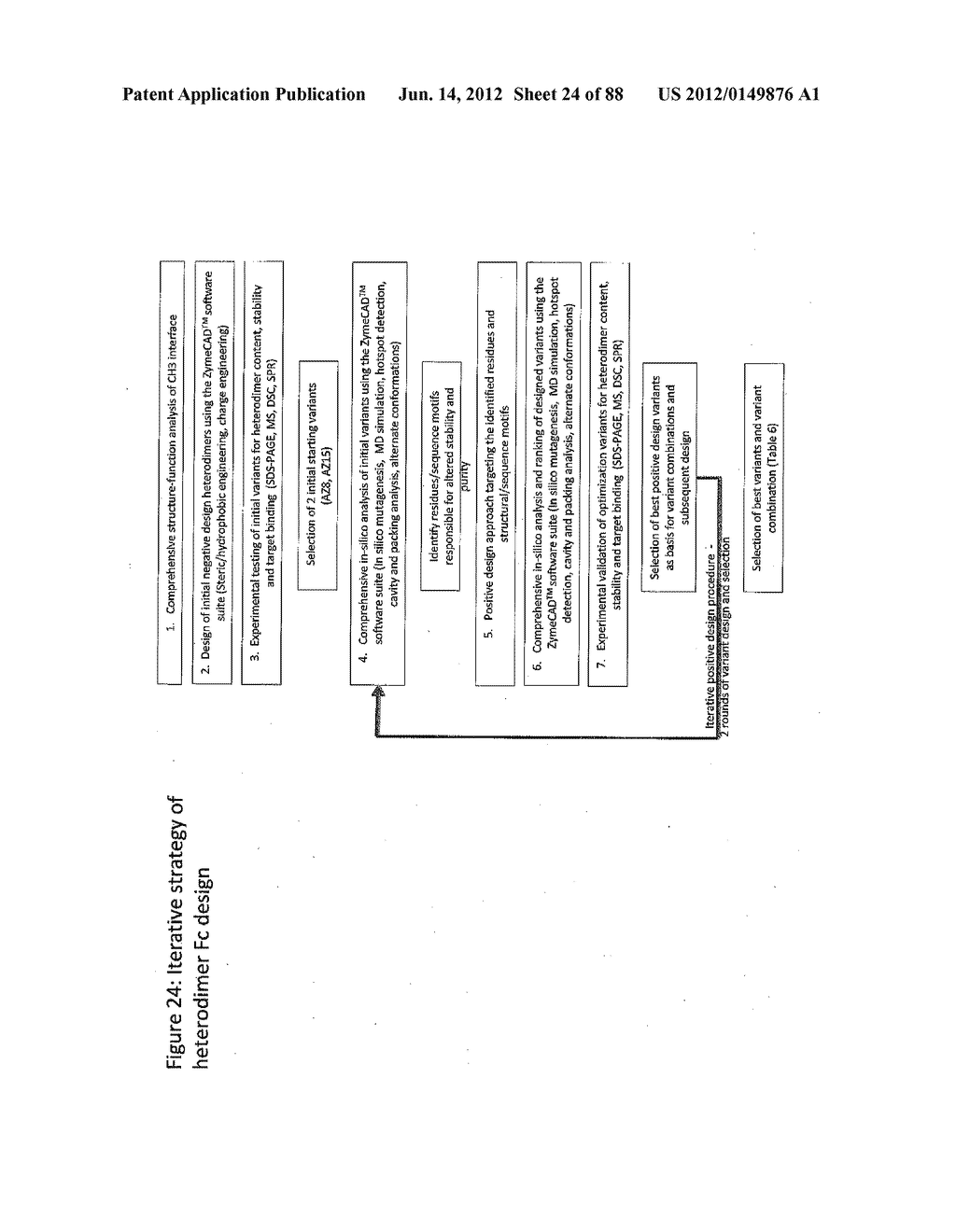 Stable Heterodimeric Antibody Design with Mutations in the Fc Domain - diagram, schematic, and image 25