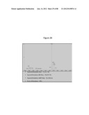 Stable Heterodimeric Antibody Design with Mutations in the Fc Domain diagram and image