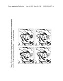 Stable Heterodimeric Antibody Design with Mutations in the Fc Domain diagram and image