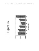 Stable Heterodimeric Antibody Design with Mutations in the Fc Domain diagram and image